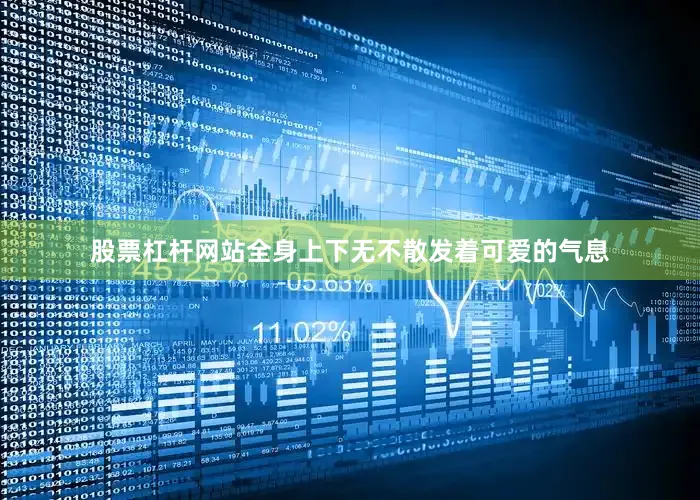 股票杠杆网站全身上下无不散发着可爱的气息