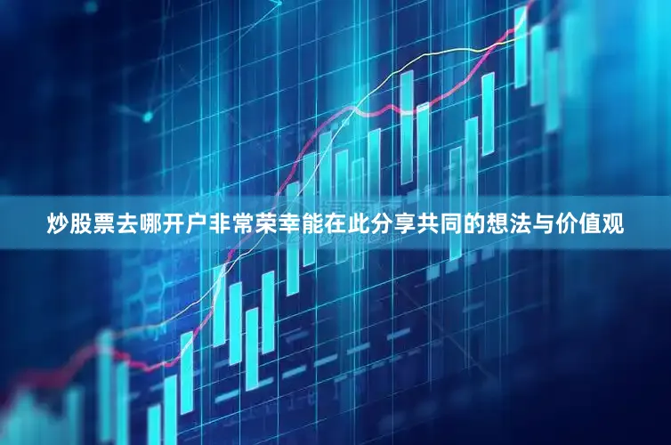 炒股票去哪开户非常荣幸能在此分享共同的想法与价值观