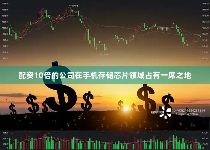 配资10倍的公司在手机存储芯片领域占有一席之地