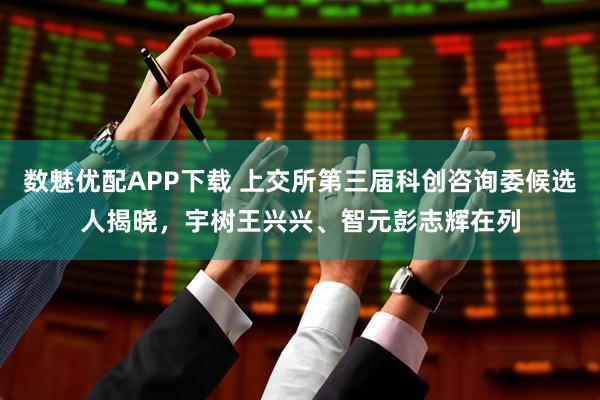 数魅优配APP下载 上交所第三届科创咨询委候选人揭晓，宇树王兴兴、智元彭志辉在列