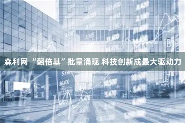 森利网 “翻倍基”批量涌现 科技创新成最大驱动力