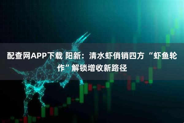配查网APP下载 阳新：清水虾俏销四方 “虾鱼轮作”解锁增收新路径